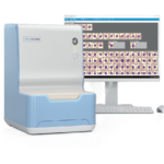 Cancer Cell Morphology Detection System